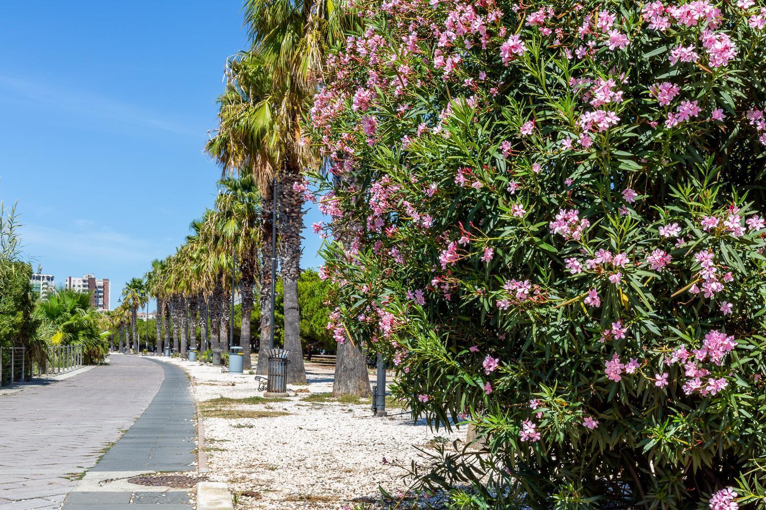 Sunichele Luxury Apartment Cagliari Luaran gambar